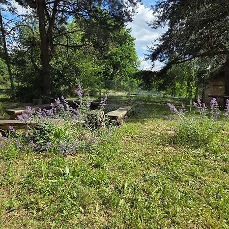 Villa Kocimietka - Dom Z Widokiem