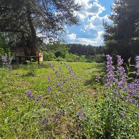 Villa Kocimietka - Dom Z Widokiem Mazowki