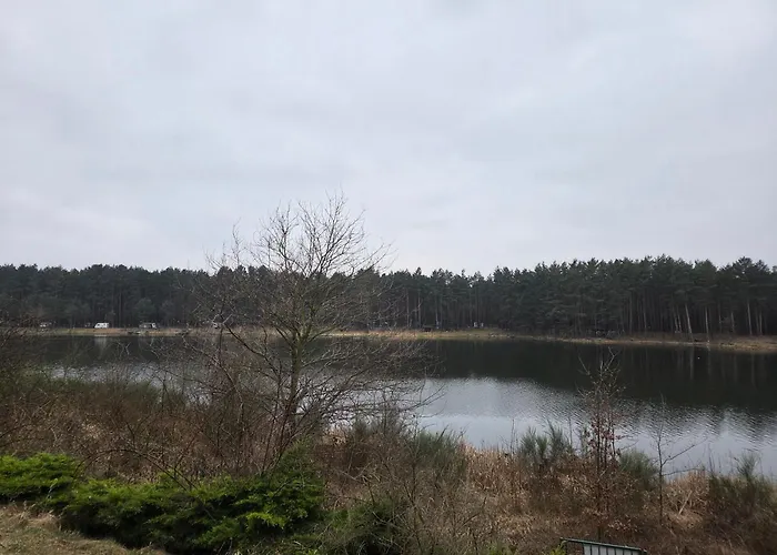 Kocimietka - Dom Z Widokiem * Mazowki